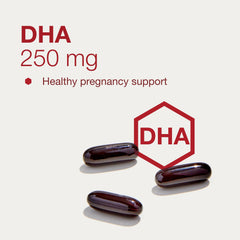 PROTOCOL FOR LIFE BALANCE prenatal DHA nutrition blend image communicates comprehensive prenatal support.