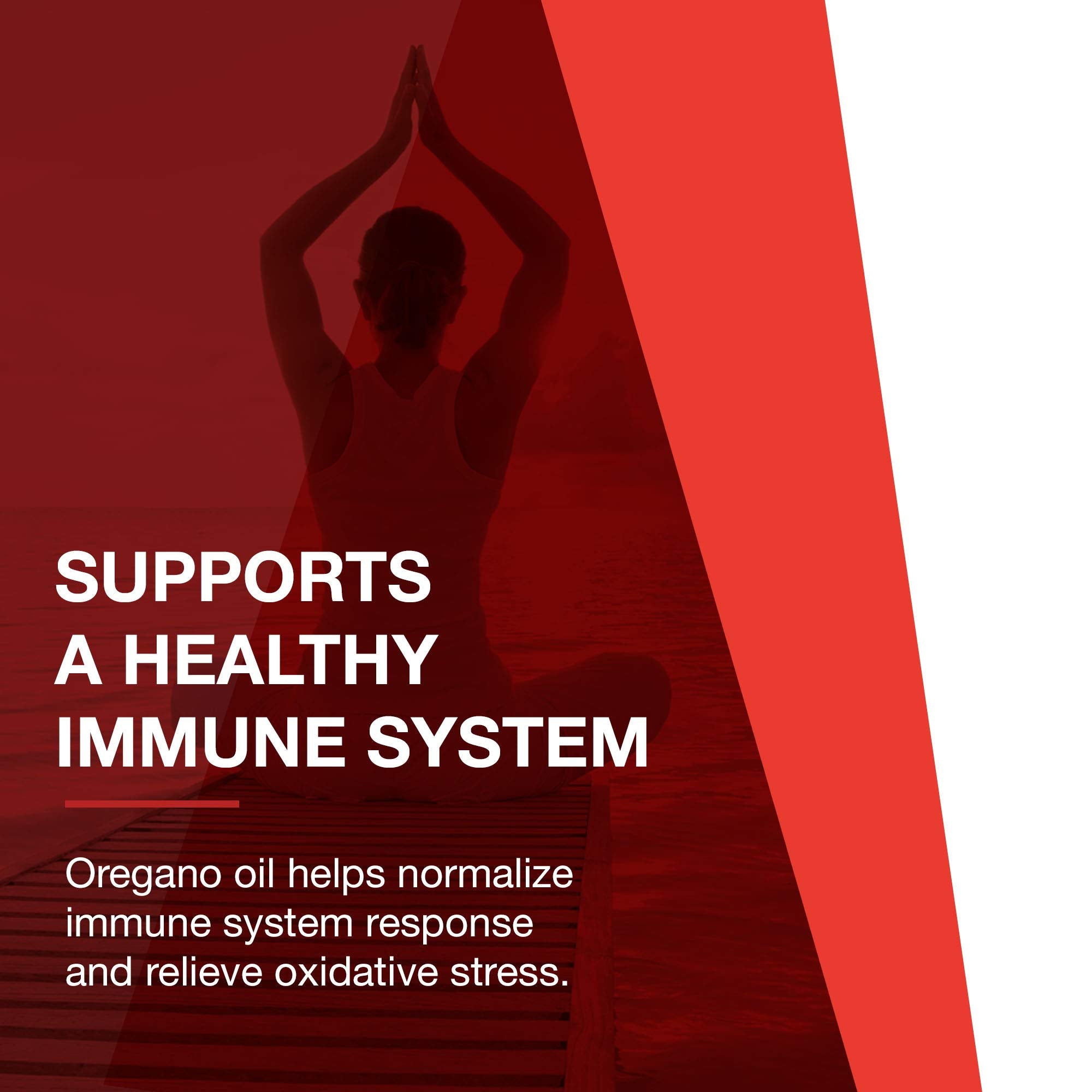 Digestive wellness concept with visual of small intestine icon