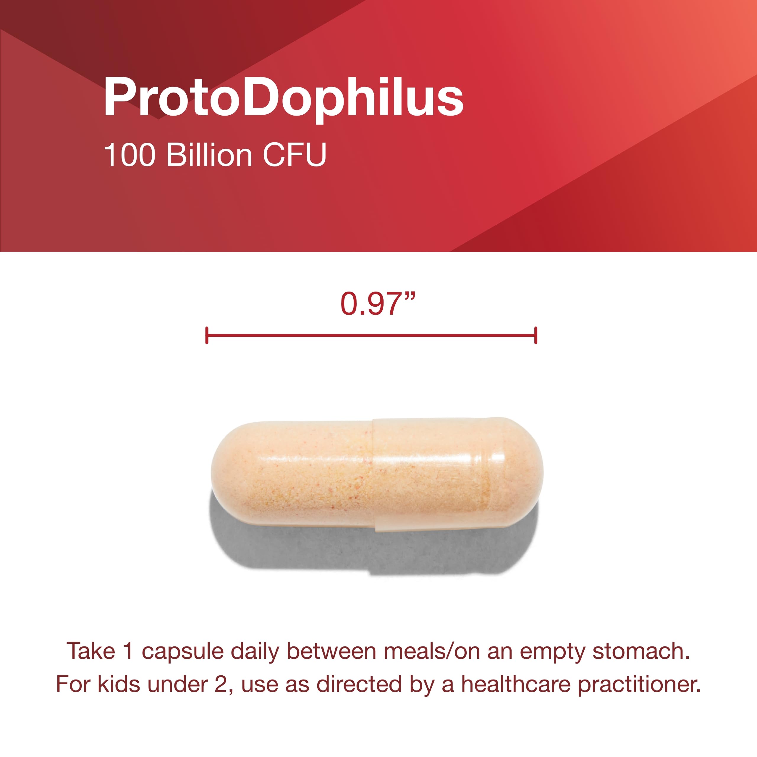 ProtoDophilus capsule close-up highlights acid-resistant strains for GI delivery.