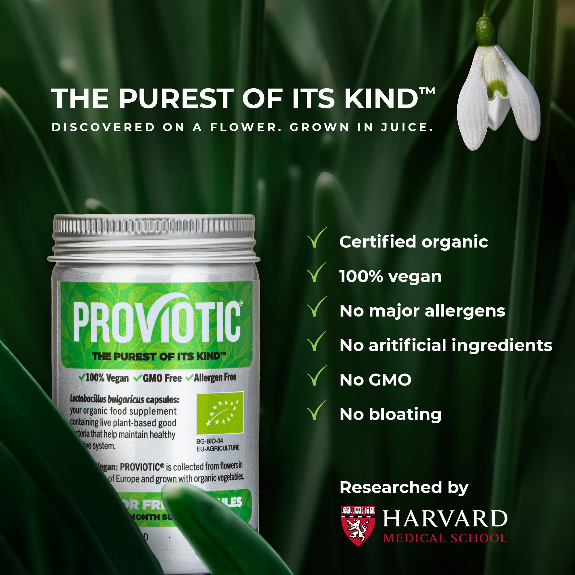 PROVIOTIC vegan probiotic capsules close-up for easy daily use