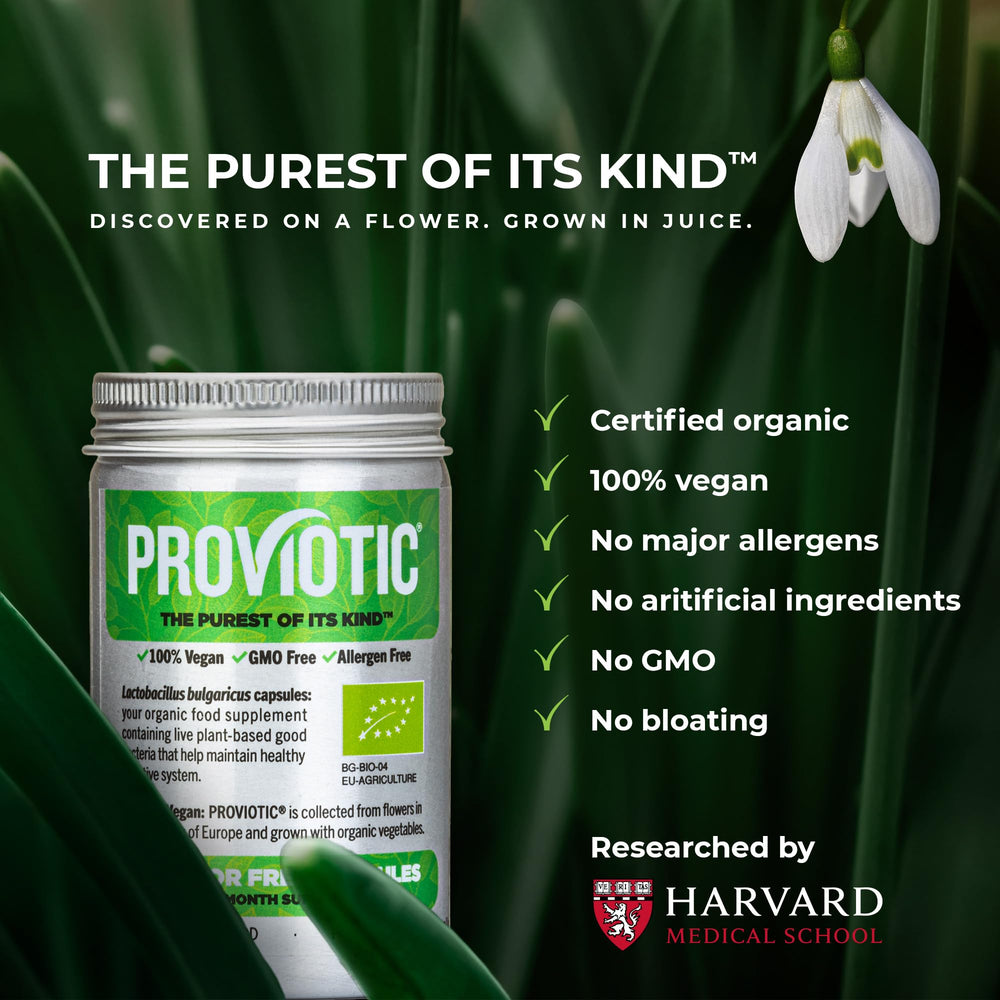 PROVIOTIC vegan probiotic capsules close-up for easy daily use