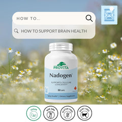 PROVITA Nadogen capsules closeup, easy-to-swallow NR+Pterostilbene capsules for cognitive maintenance.
