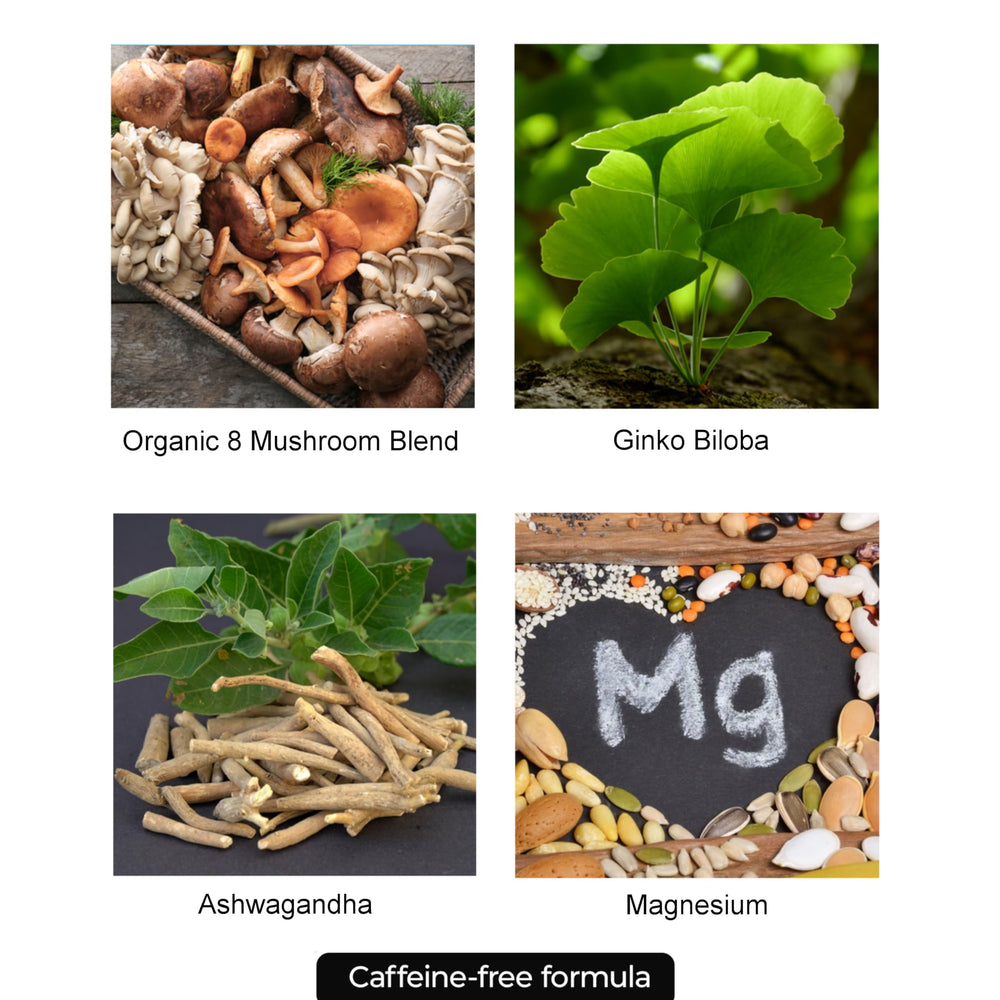 Pur Wellness Elevate ginkgo biloba ingredient closeup for mental clarity.