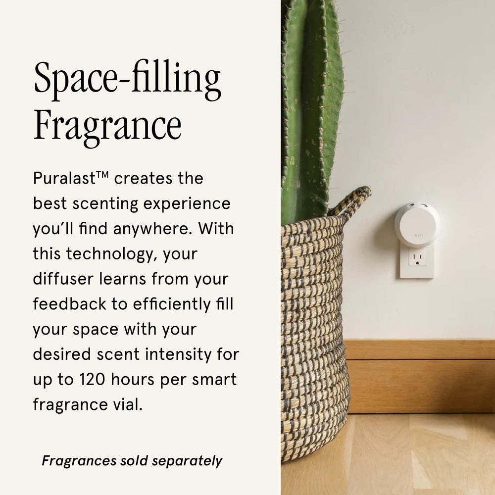 Pura 4 diffuser in a living room demonstrating large-room scent diffusion.