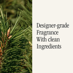Pura Mersea Sea Pines fragrance layers create a multi-dimensional home aroma.