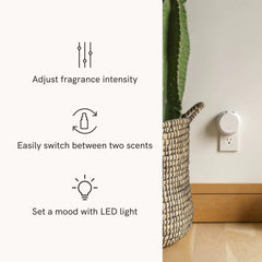 Pura Pacific Aqua refill bottle for long-lasting room aroma