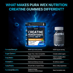 PURA WEX Nutrition creatine gummies blueberry bottle side highlights vegan formula.