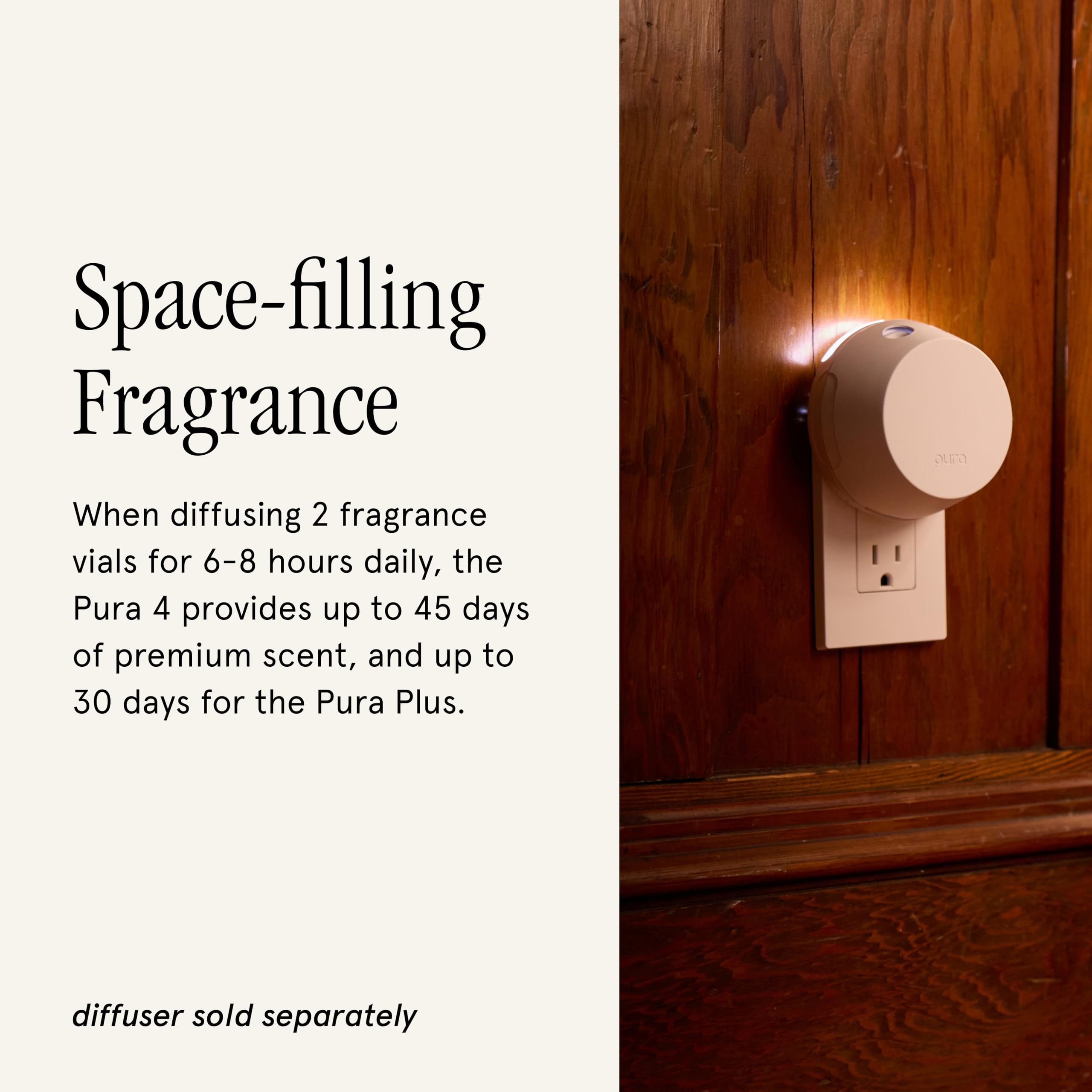 Warm sandalwood and amber aroma for a cozy season