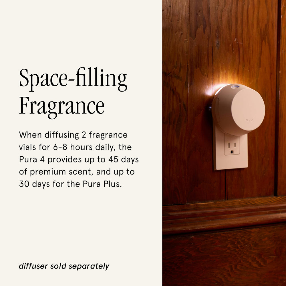 Warm sandalwood and amber aroma for a cozy season