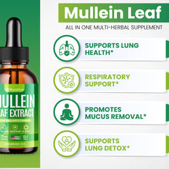Purafina Mullein Drops label front emphasizes organic mullein extract and chlorophyll for lung detox synergy.