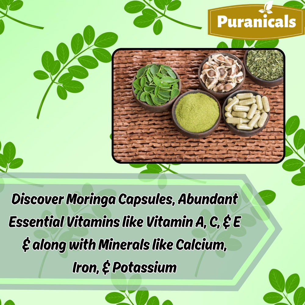 Puranicals Moringa Premium leaf powder jar showcases vibrant powder texture
