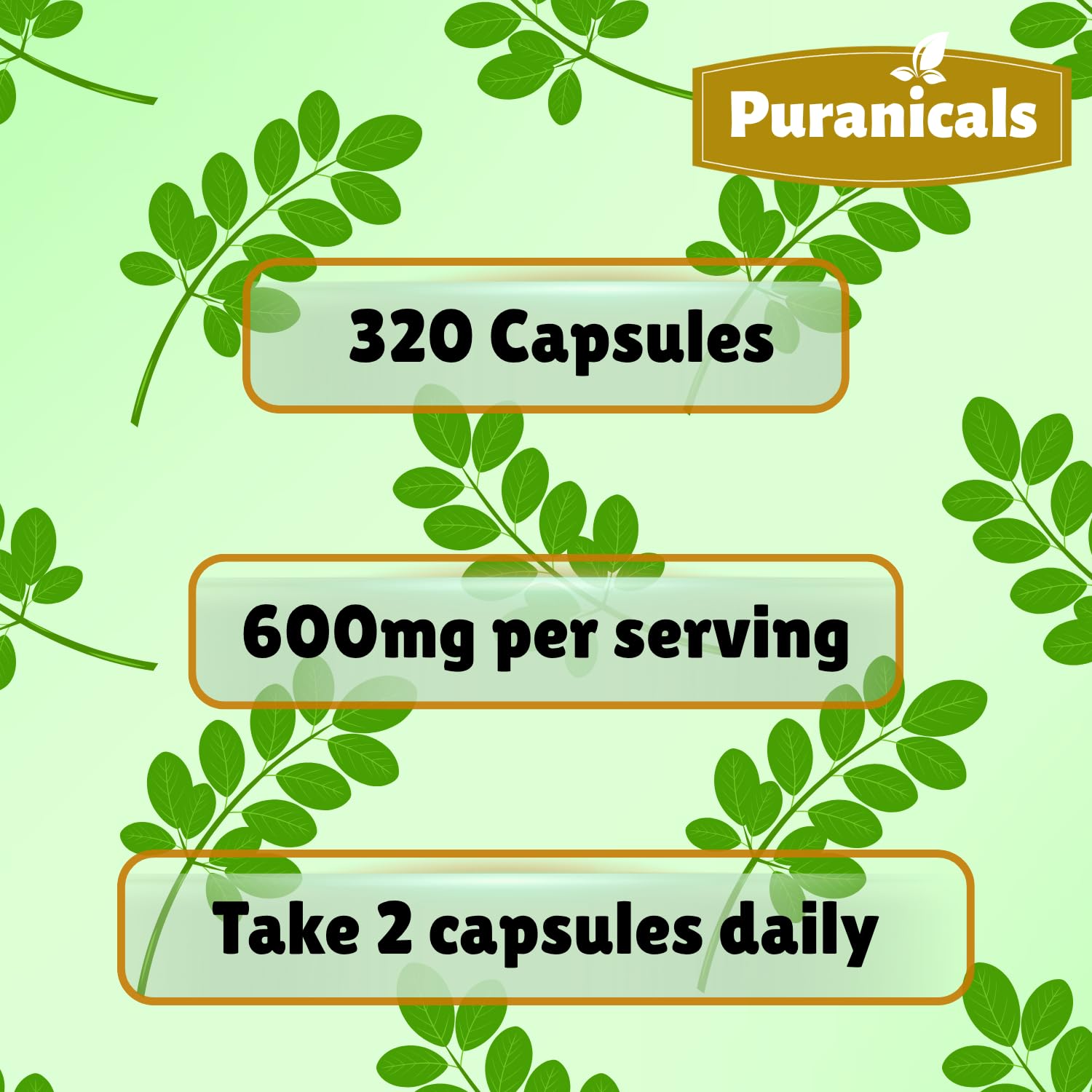 Puranicals Moringa Premium being mixed into smoothie for convenient use