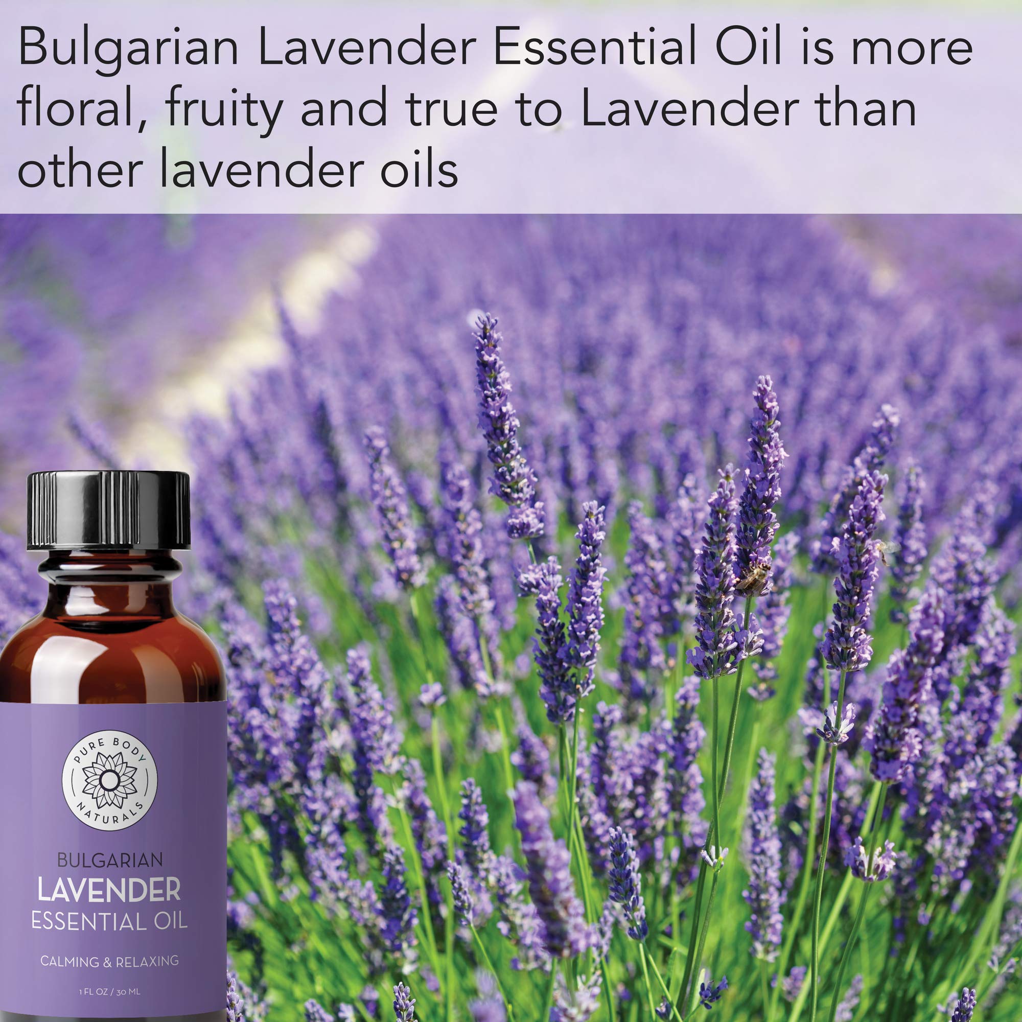 Pure Body Naturals Bulgarian Lavender flowers close up showing natural source