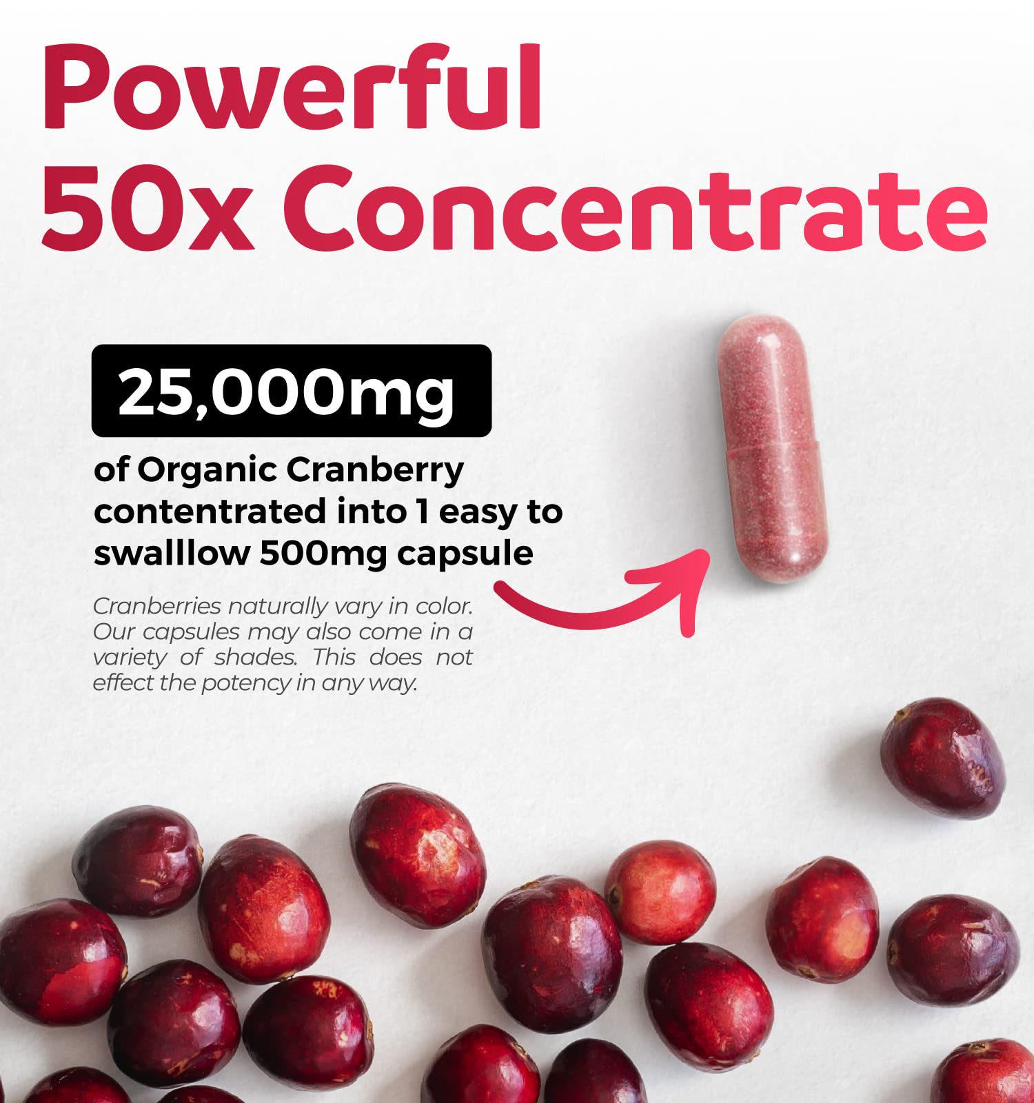 PURE CO Cranberry Pills capsules closeup highlights concentrated cranberry power