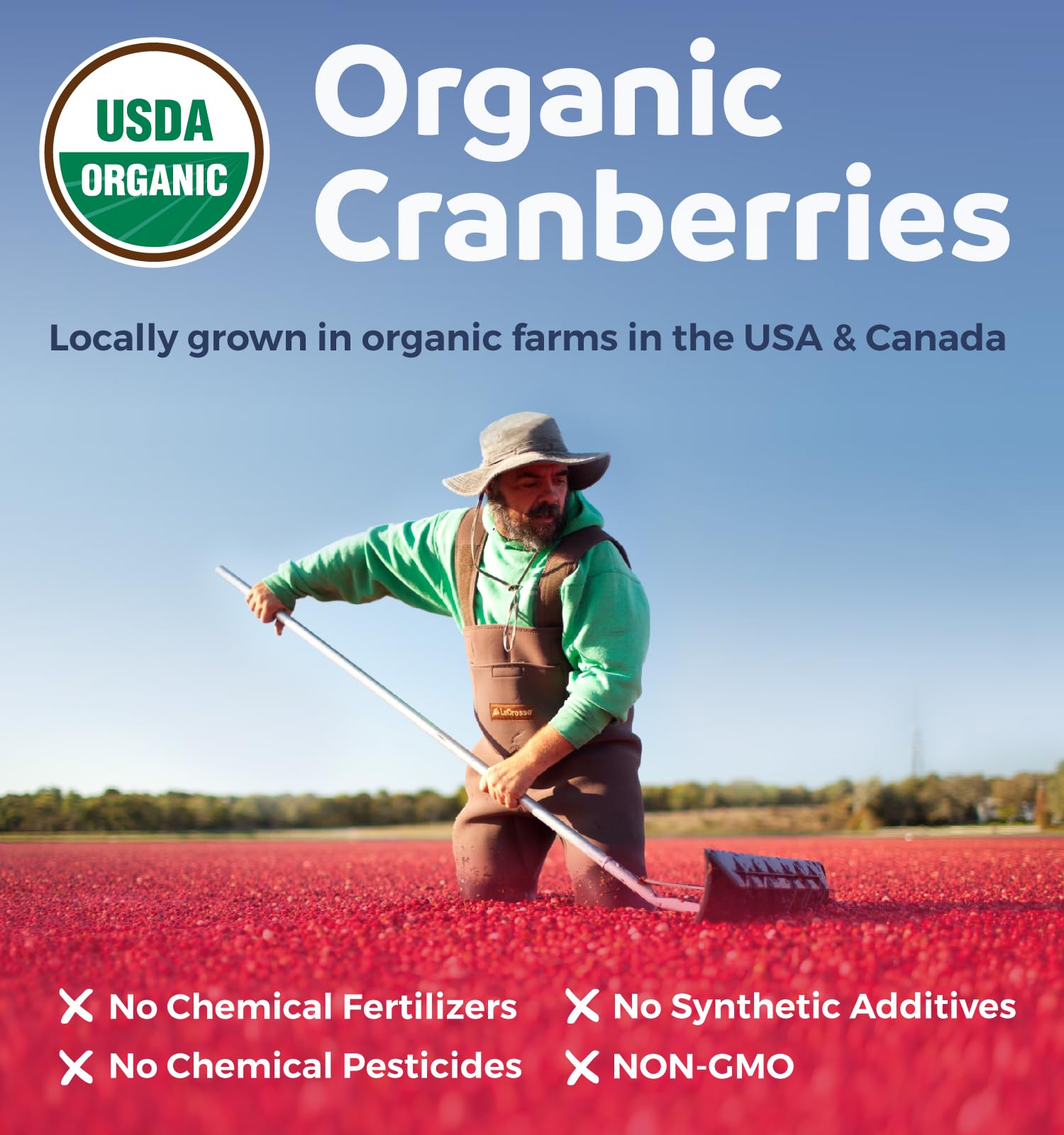Pure Co Cranberry Pills four-month supply pack; long-term value for daily use.