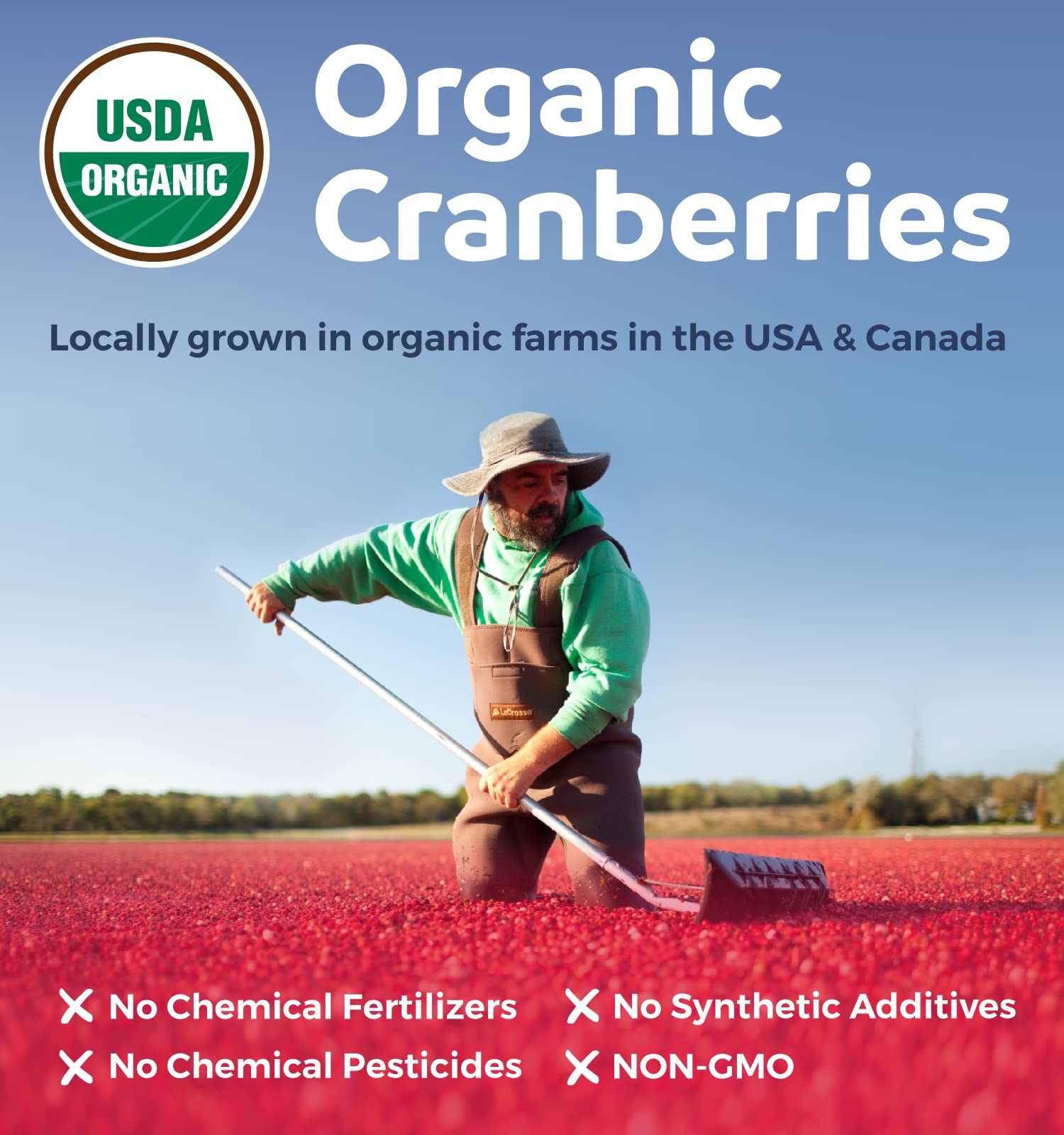 PURE CO Cranberry Pills label detail displays 50:1 concentrate