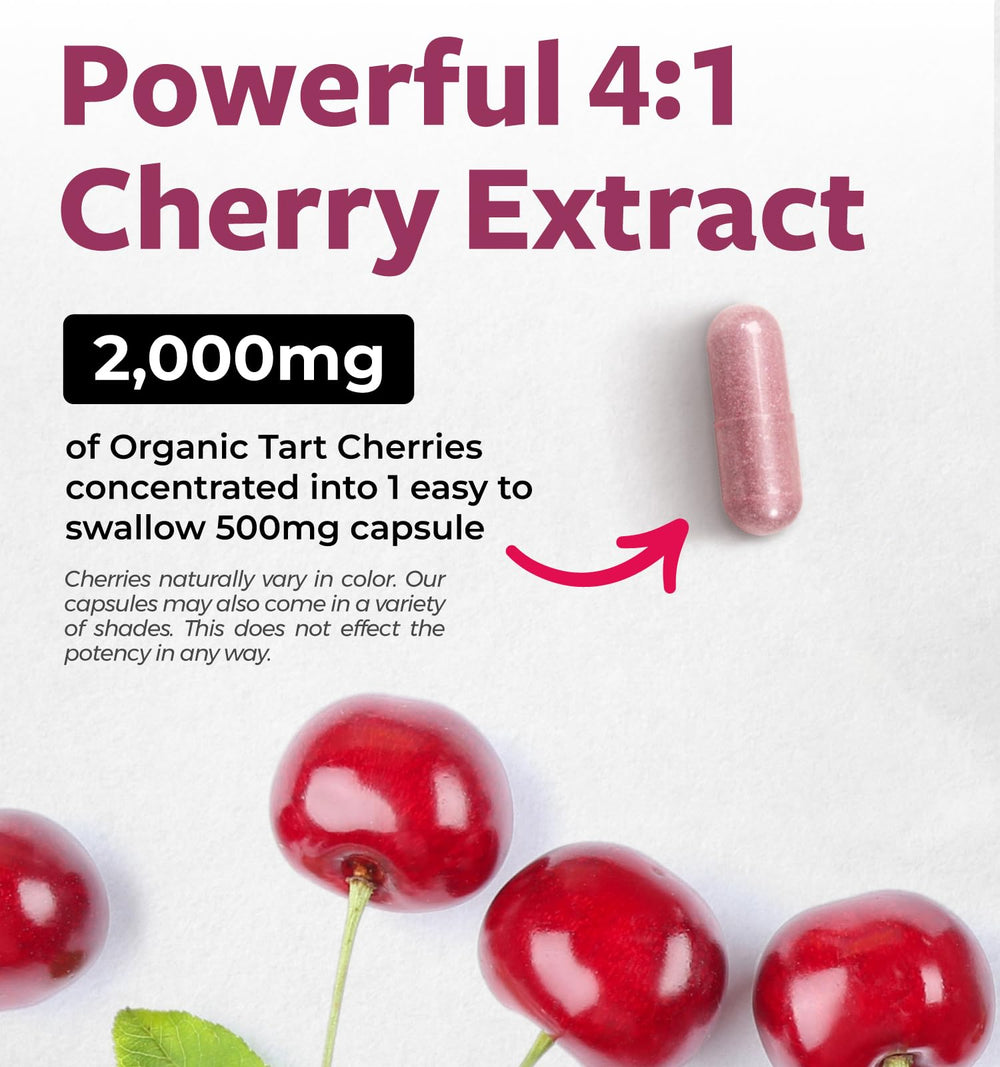 PURE CO tart cherry powder capsules interior view suggests concentrated nutrition