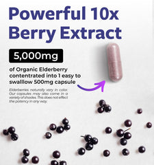 Pure Co vegan elderberry capsules on white surface.