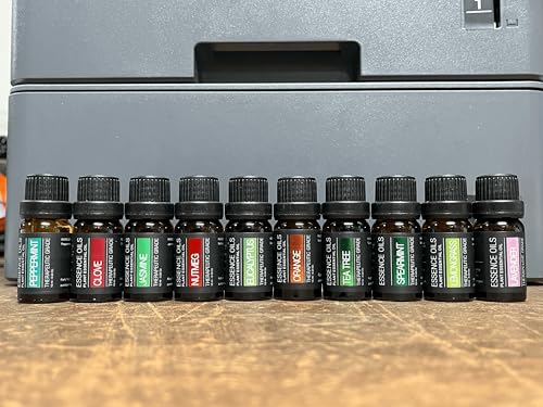 Pure Daily Care tea tree oil 10ml versatile fragrance for rooms