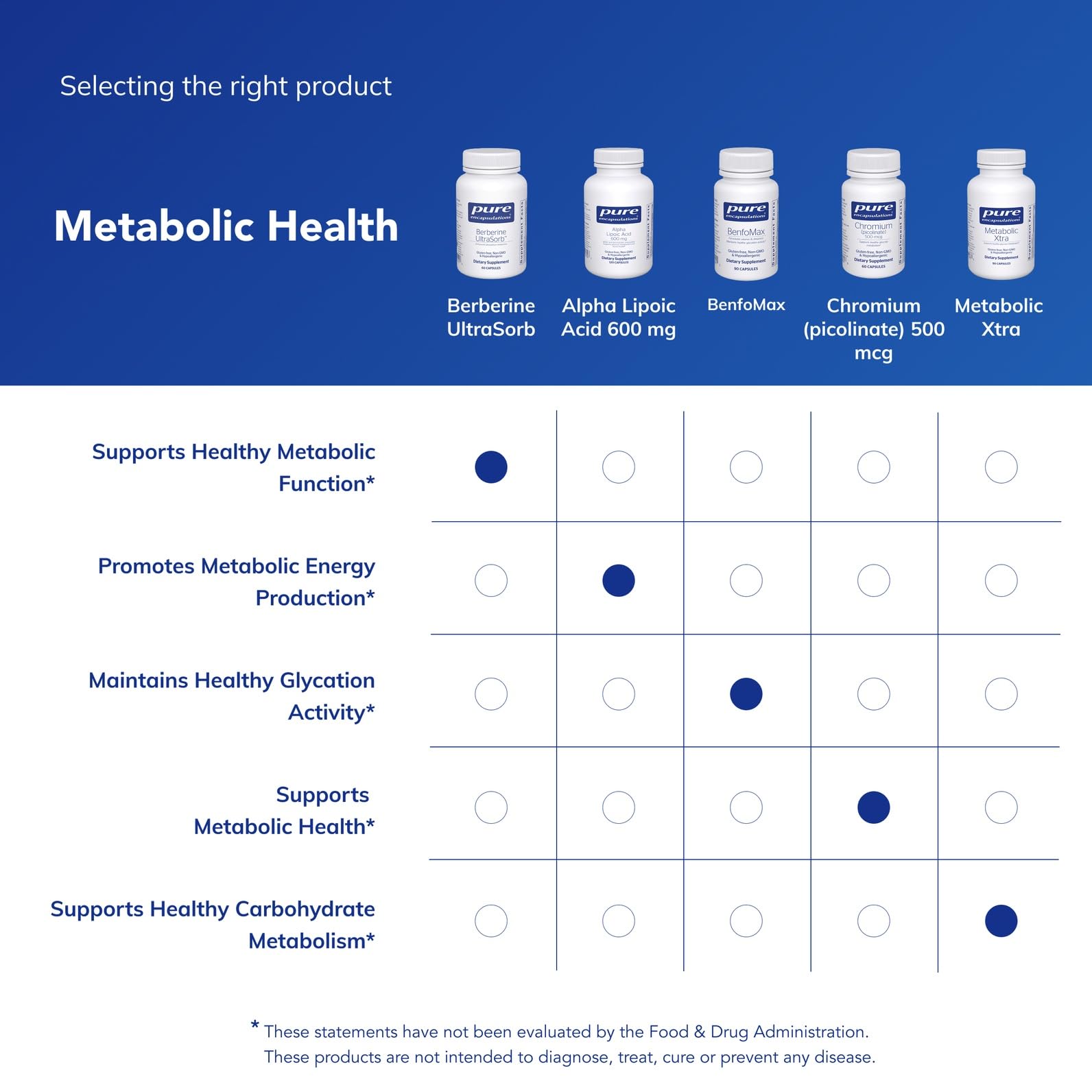 Berberine UltraSorb capsule close-up highlights a clean ingredient profile.