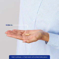DIMPRO 100 dosage information reflects simple 1–3 capsules daily usage.
