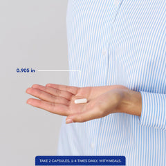 Illustration suggesting connective tissue support from Pure Encapsulations MSM capsules.