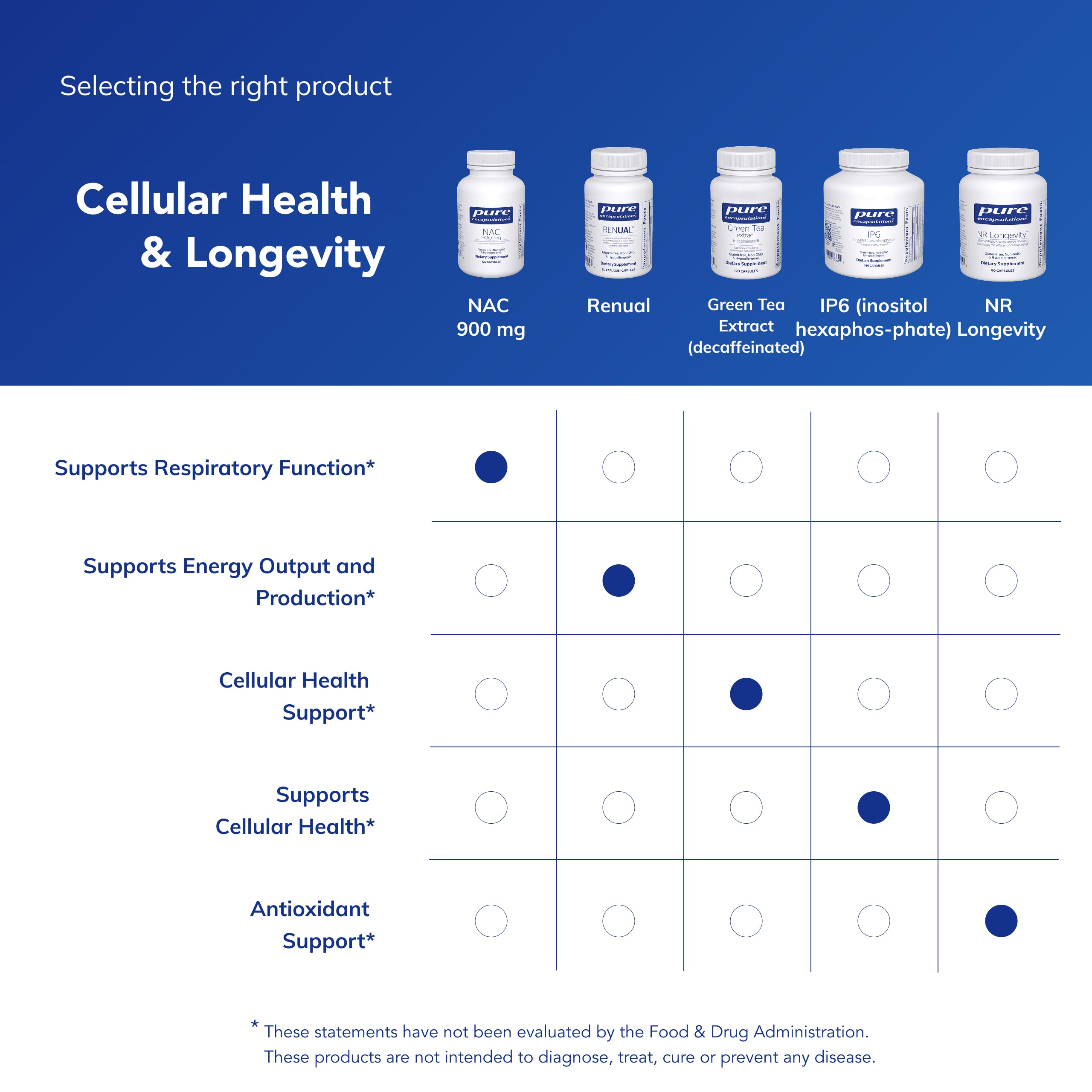 Pure Encapsulations NAC 900mg lung-focused illustration suggests respiratory support possibilities.