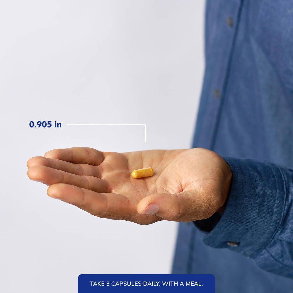 Saw palmetto imagery connects to urinary function support.
