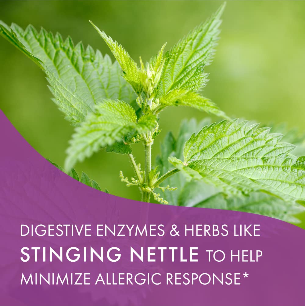 Non-GMO, vegetarian AllerFree capsules advertised on the label.