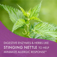 Non-GMO, vegetarian AllerFree capsules advertised on the label.