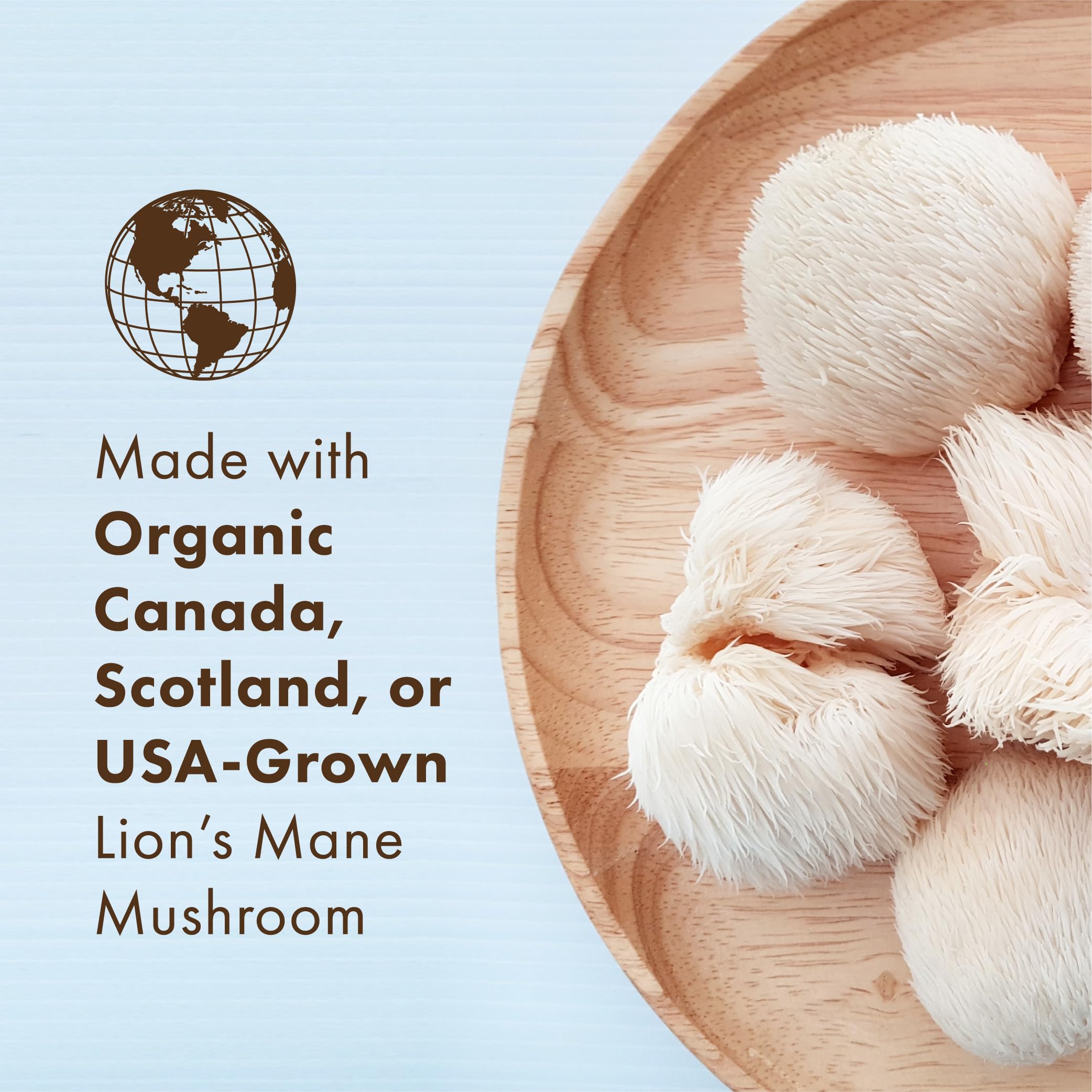 Pure Essence Labs MyPure Lion's Mane 4X hot water extraction graphic highlights polysaccharides.