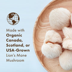 Pure Essence Labs MyPure Lion's Mane 4X hot water extraction graphic highlights polysaccharides.