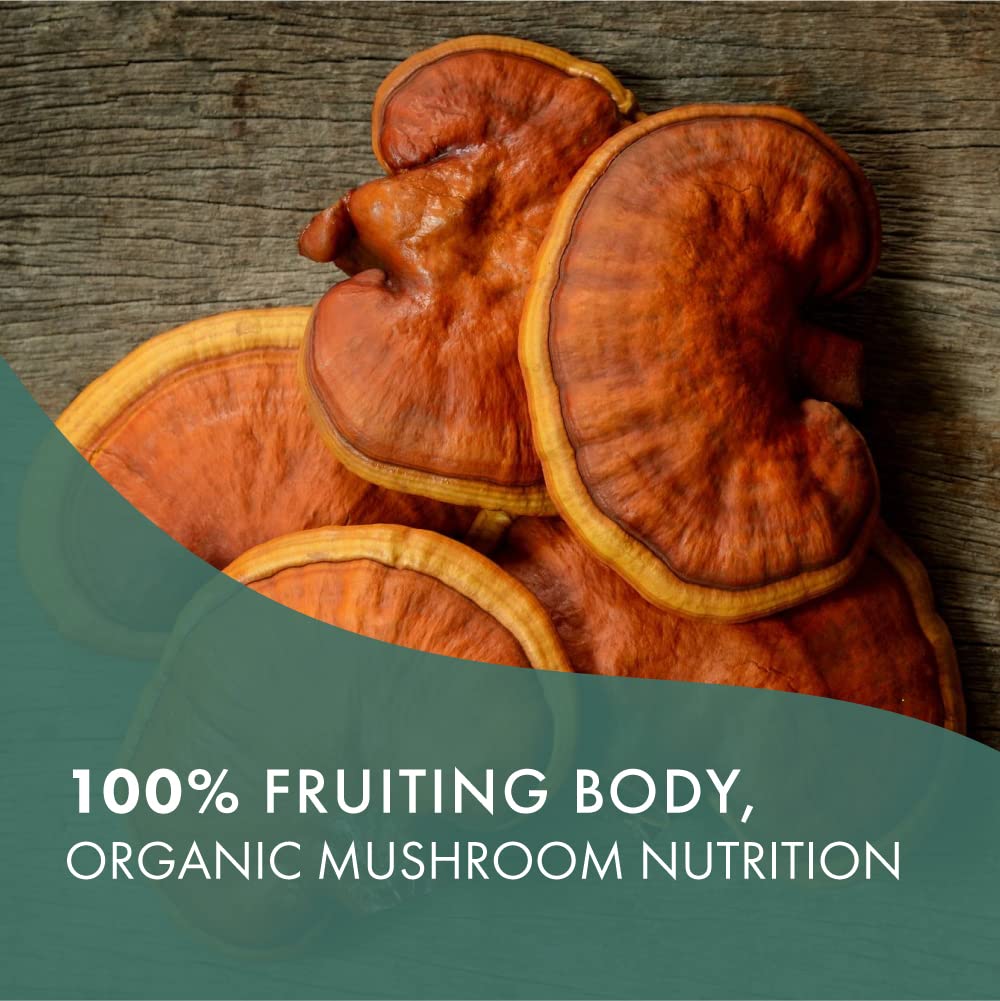 Pure Essence Labs MyPure Reishi packaging opened, suggesting easy daily dosing for consistent use