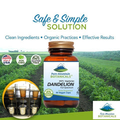 Packaged Pure Mountain Botanicals dandelion root capsules ready for daily wellness