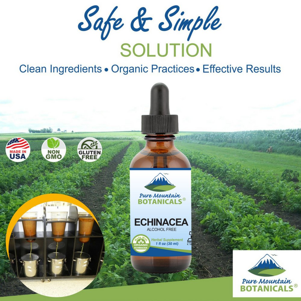 Pure Mountain Botanicals label highlights organic echinacea angustifolia root.