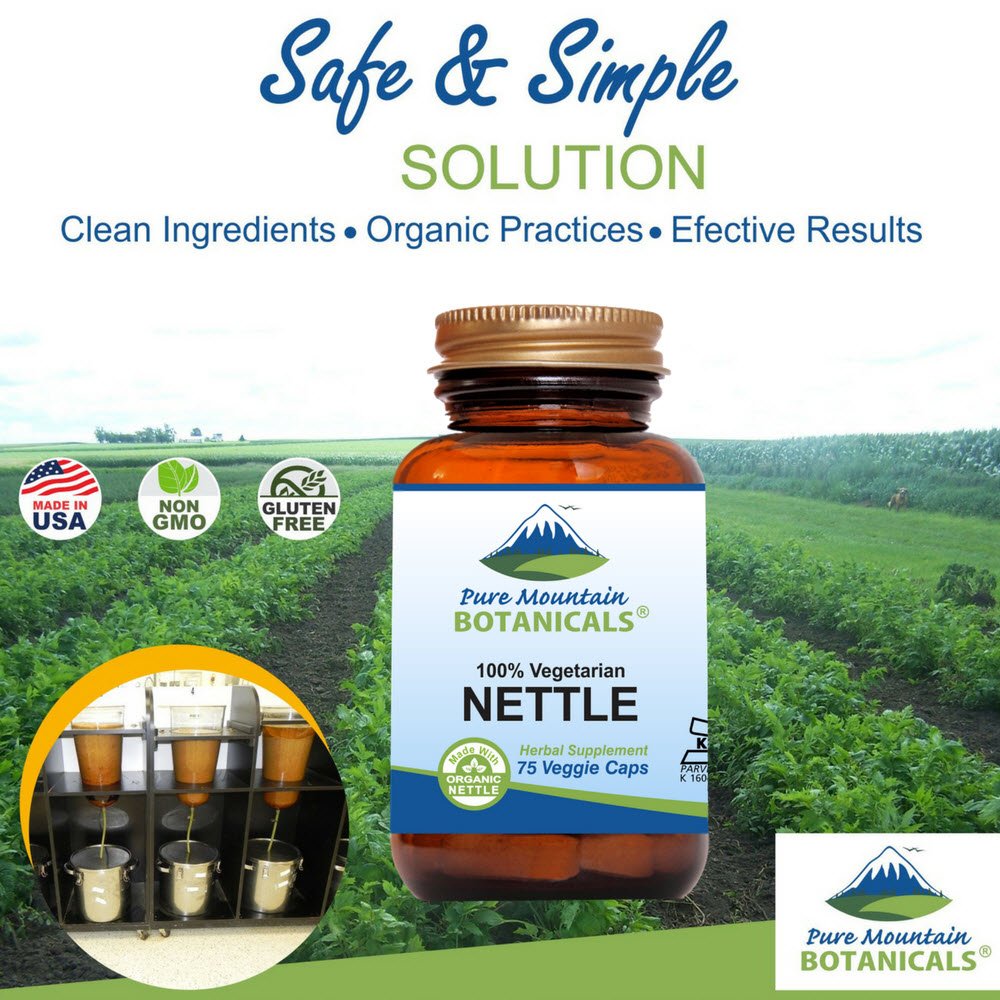 Label on Pure Mountain Botanicals nettle capsules shows 500mg per serving for daily vitality.