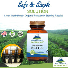 Label on Pure Mountain Botanicals nettle capsules shows 500mg per serving for daily vitality.