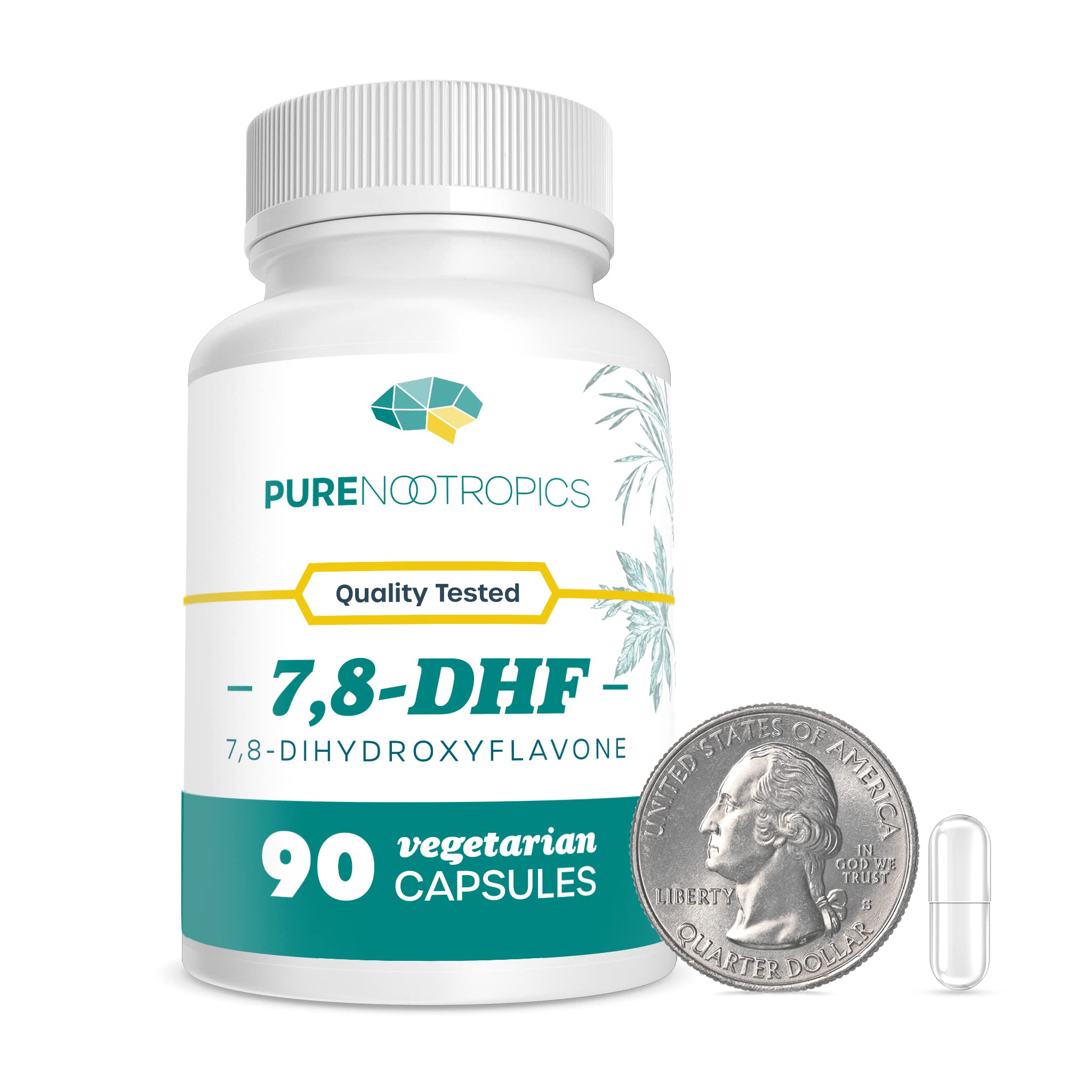 Pure Nootropics 7,8-DHF capsules bottle demonstrates stable packaging for daily use.