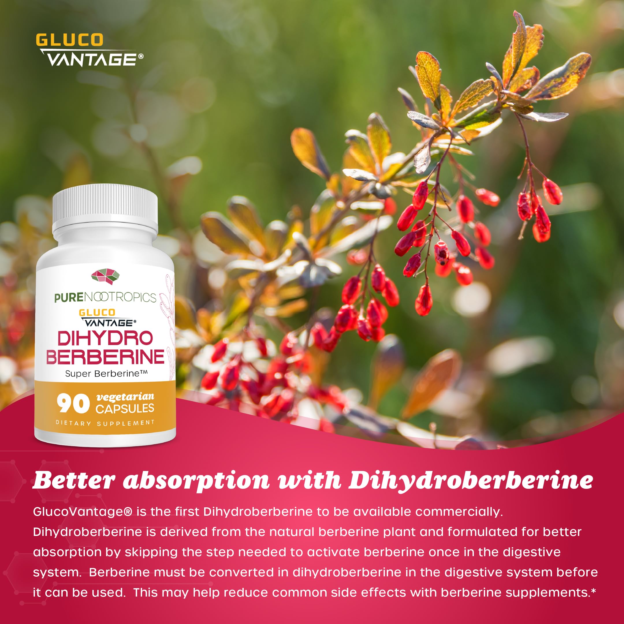 Pure Nootropics bottle proudly manufactured in the USA.