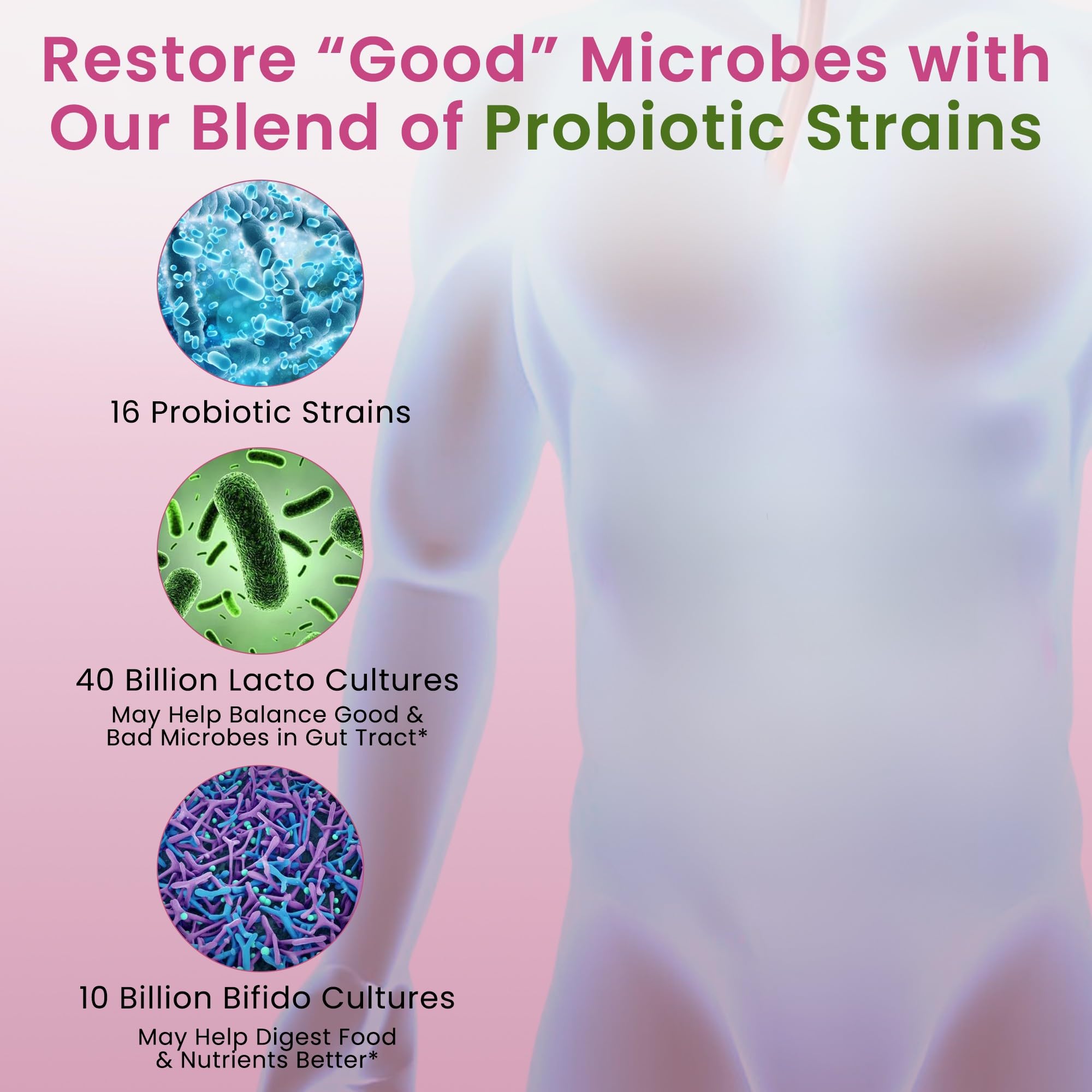 Pure Nutrition Natural Treasures gluten-free non-GMO daily probiotic formula