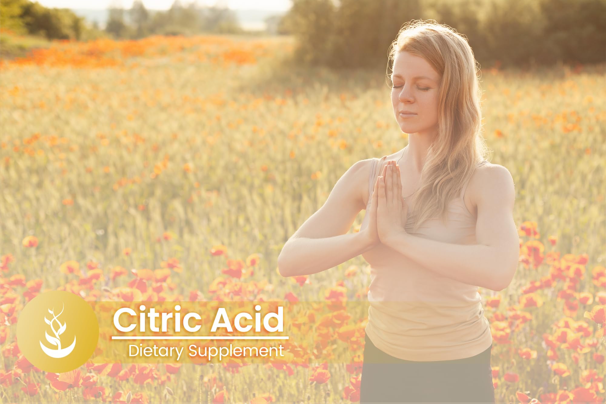 PURE ORIGINAL INGREDIENTS Citric Acid capsules close-up highlighting simple ingredients