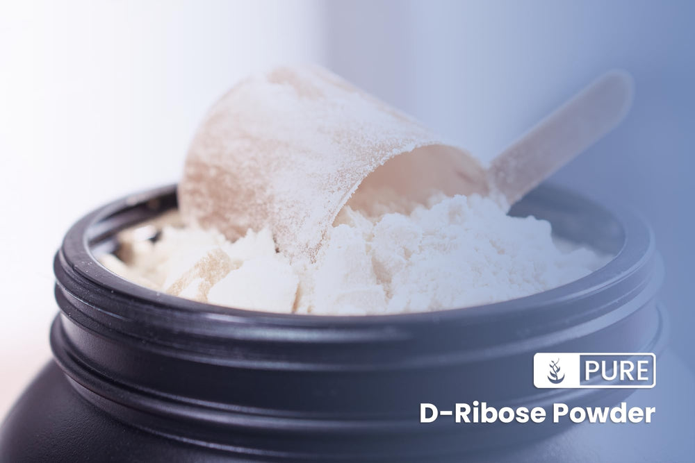 Non-GMO seal on the Pure Original Ingredients D-Ribose bottle.