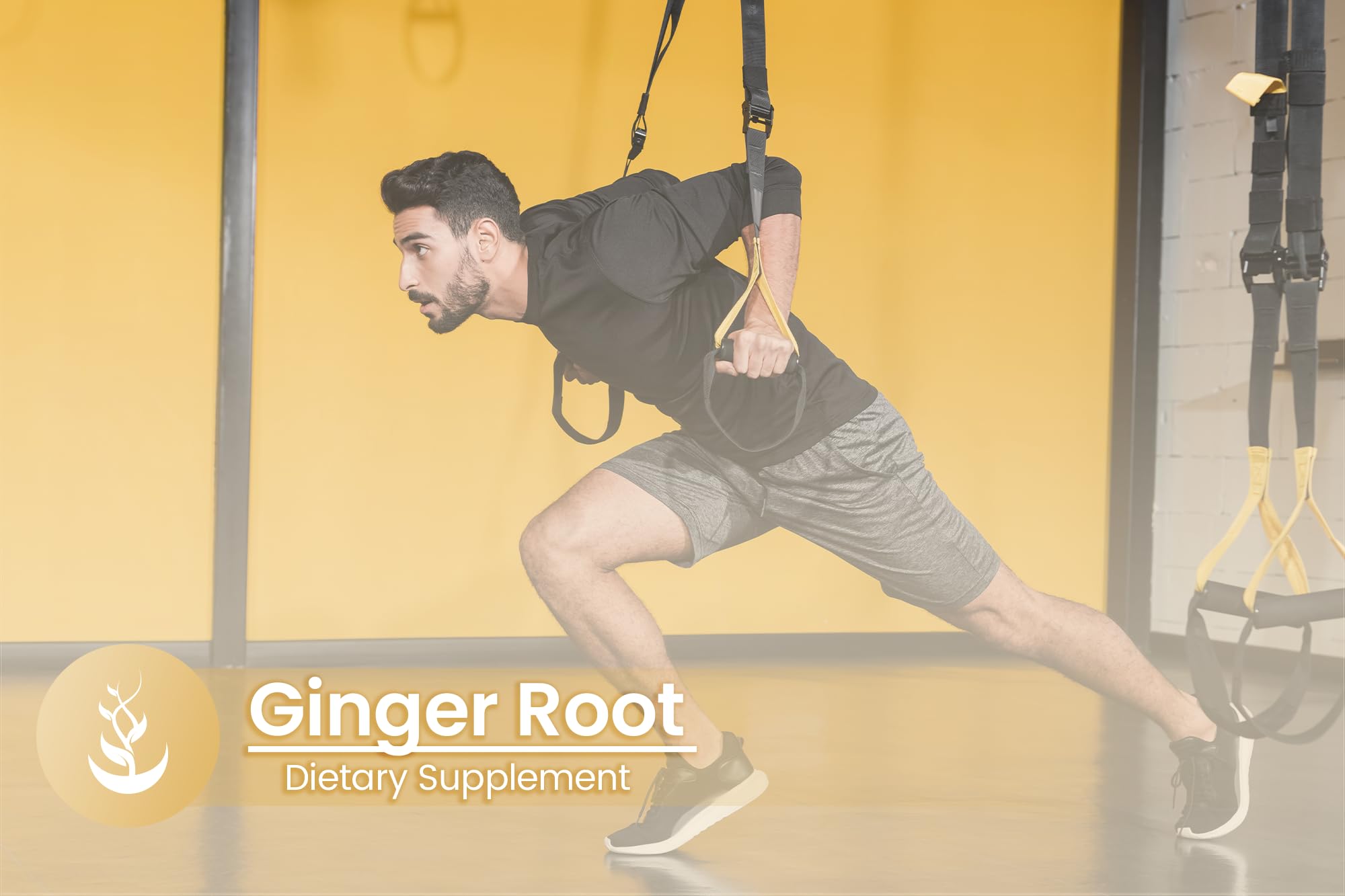 Pure Original Ingredients ginger root bottle on shelf for daily use