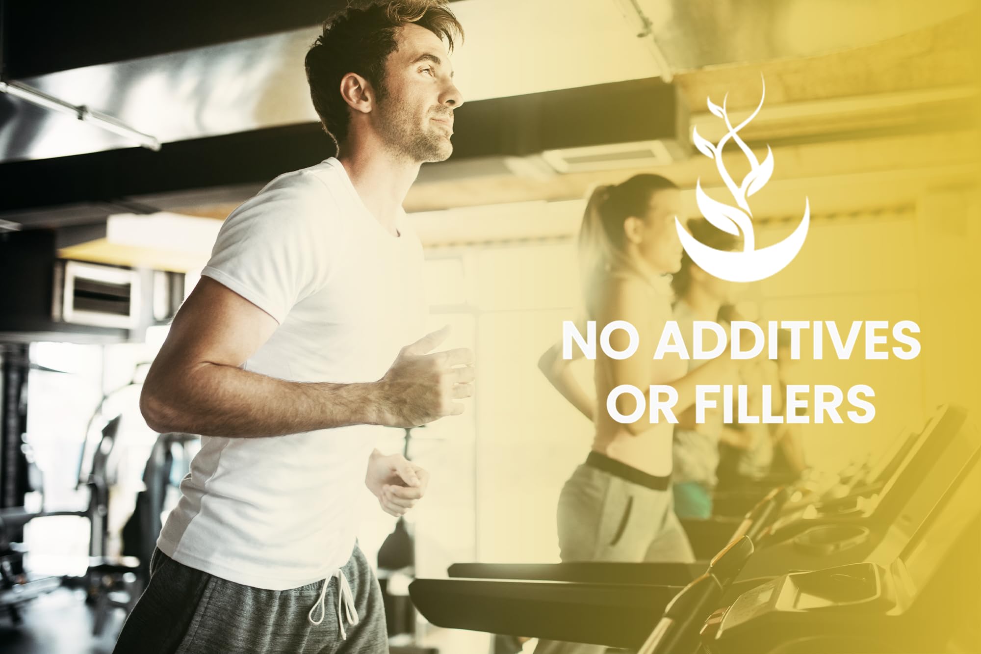 Pure Original Ingredients HMB capsules stack indicates 120-day supply.