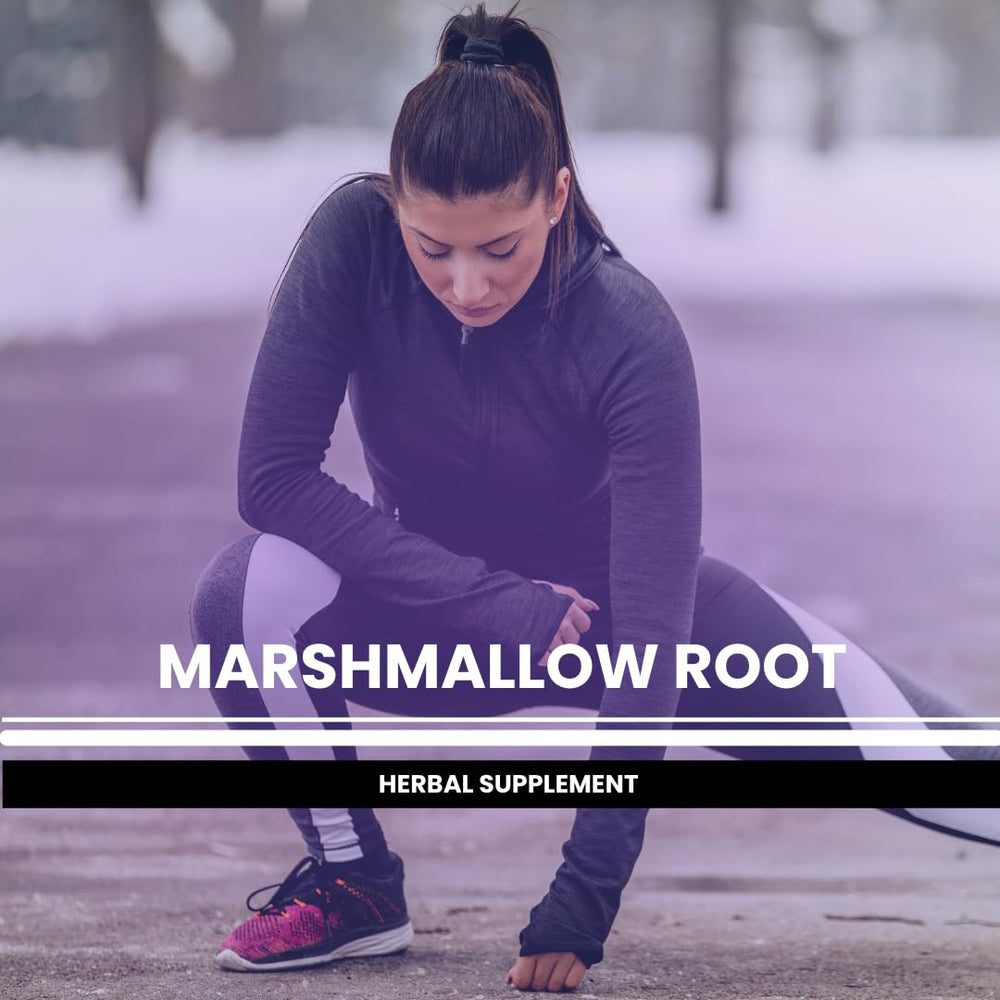Marshmallow Root capsules by Pure Original Ingredients on a shelf for long-term supply