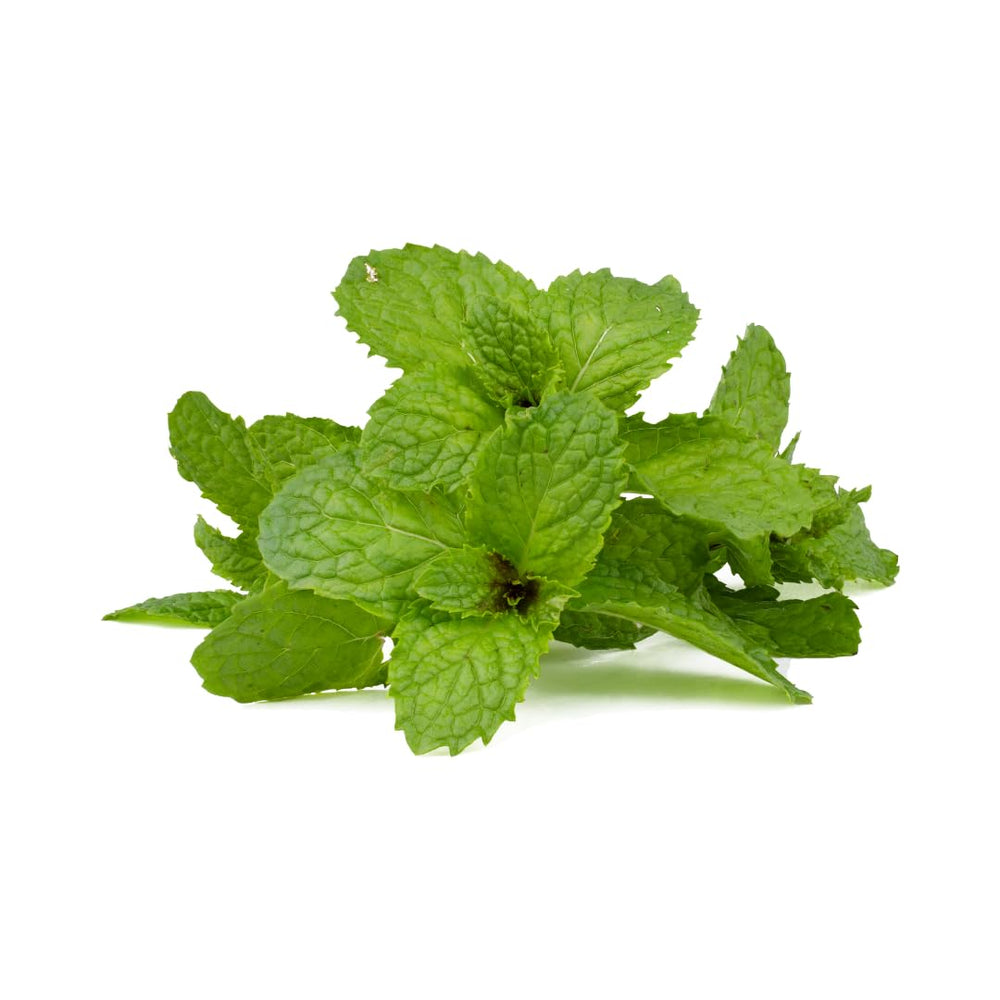 Pure Original Ingredients Peppermint Leaf packaging Utah highlights local production.