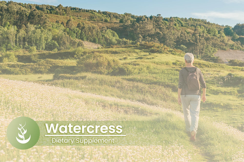 Pure Original Ingredients Watercress capsules close-up emphasizes compact travel-friendly bottle