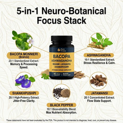 Closeup of Pure Prana capsules highlighting vegan plant-based cognitive support