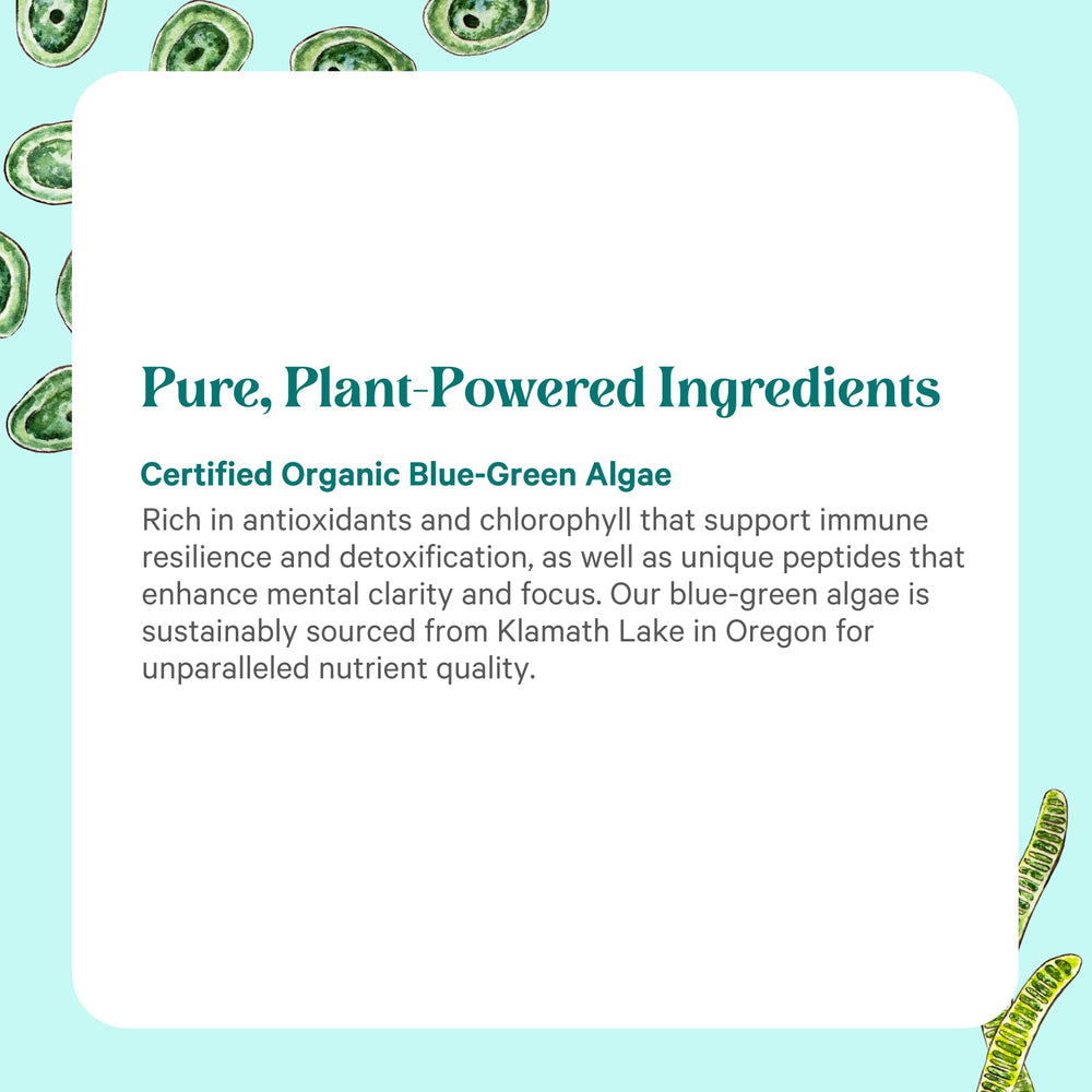 PURE SYNERGY Blue-Green Algae Powder stirred in water shows vibrant green color.