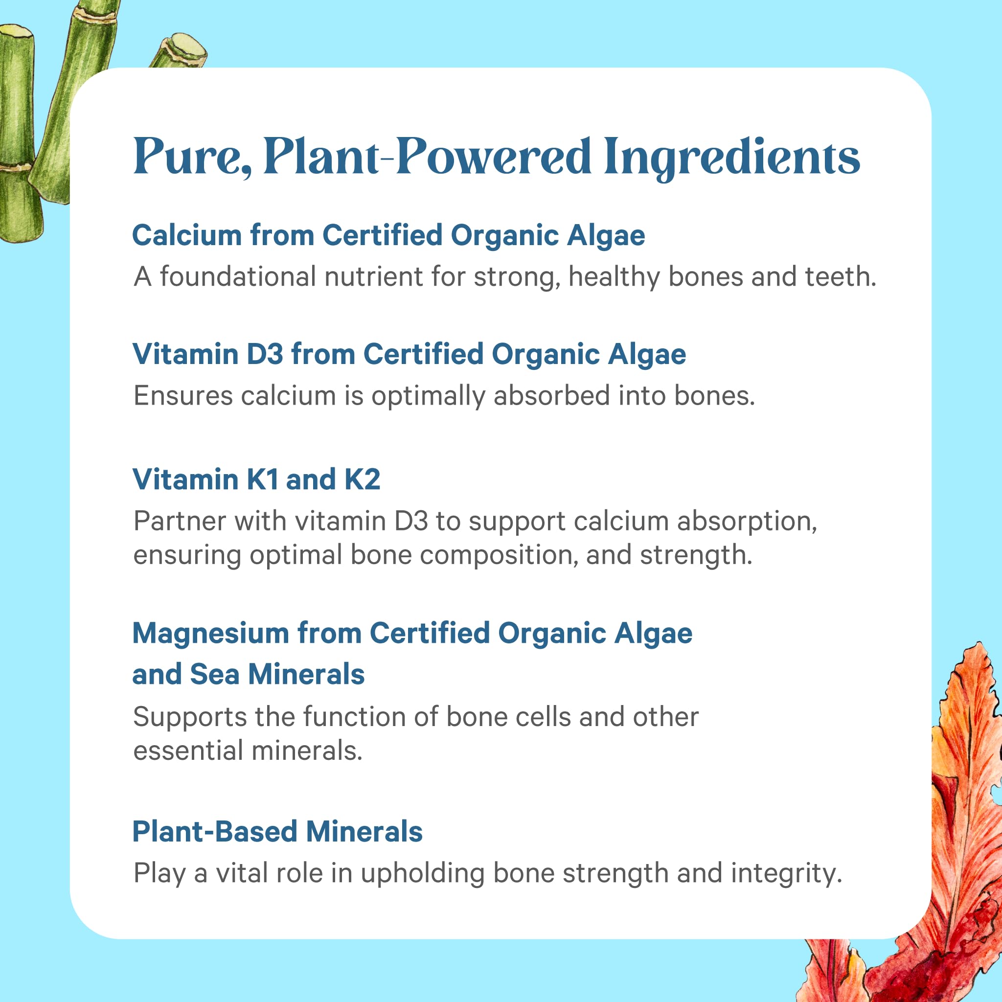 PURE SYNERGY Bone Renewal in a daily routine setting alongside healthy foods